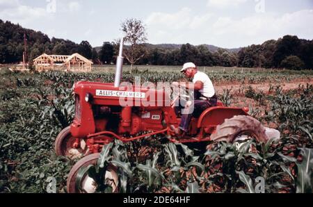 'Al Reinshagen; Mathematiklehrer an der White County High School in Cleveland; Georgia; bewirtschaftet ein 1 Hektar großes Grundstück in der Nähe von Helen, weil ''ich liebe die Landwirtschaft''. Das Land grenzt Georgia Highway 17/75 am westlichen Rand der Stadtgrenze der kleinen Berggemeinde von etwa 270 Einwohnern. Das Grundstück gehört dem Comer Vandiver von Helen, der reinshagen das Land frei benutzen lässt, anstatt es ungenutzt gehen zu lassen. Helen liegt in der Nähe von Robertstown. Das neue Gebäude im Hintergrund wird ein Reitstall sein" Stockfoto