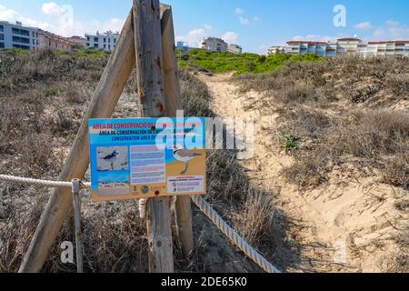 Melden Sie sich auf Sanddünen über Schutzgebiet für Kentish Plover, La Mata, Torrevieja, Costa Blanca, Spanien, Provinz Valencia Stockfoto