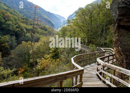 Holzsteg im Mao River Canyon, Ribeira Sacra, Galicien, Spanien Stockfoto