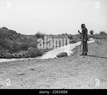 Geschichte des Nahen Ostens - im Jordantal vom Galiläischen Meer bis zum Toten Meer. Wady Fara'a. Ein Nebenfluss des Jordan von den Hügeln von Samaria Stockfoto