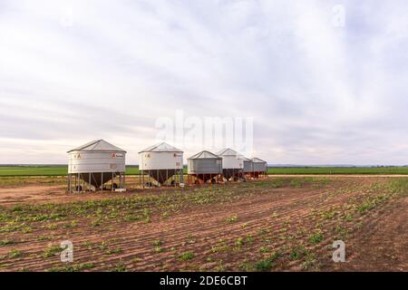 Australien; Aug 2020: Silos in einem Weizenfeld, verwendet, um Weizenkorn für landwirtschaftliche Zwecke auf dem Land zu speichern. Lagerhaus für Lebensmittelstaub Stockfoto