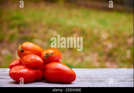 Frische, lokale, rote, Pflaumen-, roma-Tomaten auf einer Terrasse gestapelt. In Surry, Maine. Stockfoto