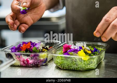 Zwei Hände legen essbare Blumen in zwei klare Behälter gefüllt mit Kräutern im Restaurant Chakana in Birmingham, England – lila, gelbe und rote Blüten dienen als Garnitur für ein Gericht des mit einem Michelin-Stern ausgezeichneten Kochs Robert Ortiz. Stockfoto