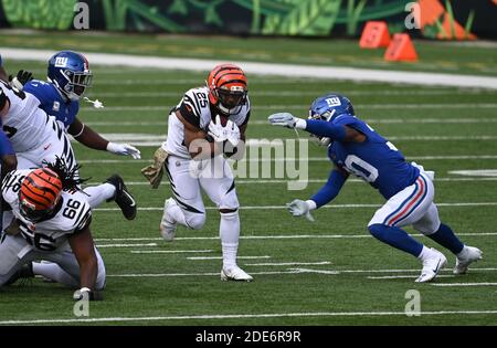 Cincinnati, OH, USA. November 2020. Giovani Bernard #25 der Cincinnati Bengals während der NFL Football Spiel Aktion zwischen den New York Giants und den Cincinnati Bengals im Paul Brown Stadium am 29. November 2020 in Cincinnati, OH. Adam Lacy/CSM/Alamy Live News Stockfoto