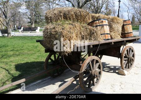 Pferdekutsche mit Heu im Frühling Stockfoto