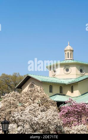 Brooklyn Botanic Garden Verwaltungsgebäude mit Spring Blossom, NYC, USA Stockfoto