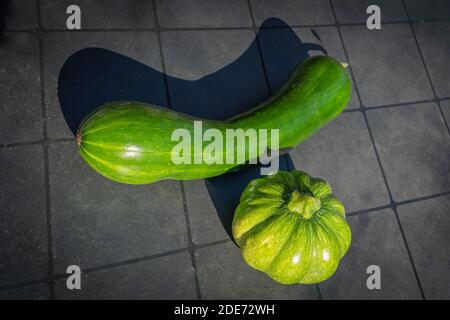 Goxwiller, Frankreich - 09 08 2020: Grüne Zucchini, Gemüse Stockfoto