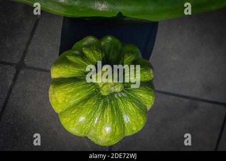 Goxwiller, Frankreich - 09 08 2020: Grüne Zucchini, Gemüse Stockfoto