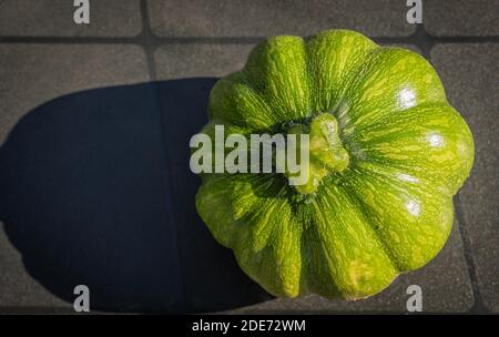 Goxwiller, Frankreich - 09 08 2020: Grüne Zucchini, Gemüse Stockfoto