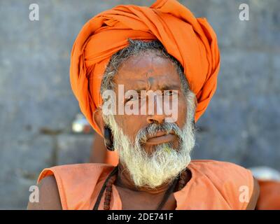 Ältere turbaned Gorakhnathi (Kanphata) Yogi Mönch mit dem religiösen Gorakh-Nath Hindu-Orden große Unterschrift Ohrringe posiert für die Kamera. Stockfoto