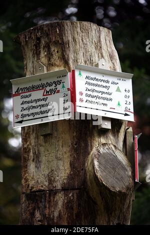 Markierung im Harz, Wernigerode, Sachsen-Anhalt, Deutschland Stockfoto