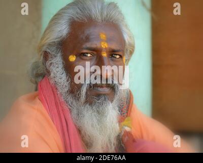 Der indische Hindu-Sadhu mittleren Alters (Guru, baba) mit drei gelben Tilaka-Markierungen auf seiner Stirn, einer über der anderen, blickt auf die Kamera. Stockfoto