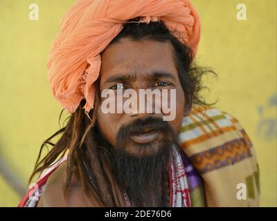 Der indische Hindu-heilige Mann mittleren Alters (Sadhu, baba, Guru) mit schwarzem Bart und langen zerlumpten Haaren posiert während des Shivratri Mela Festivals für die Kamera. Stockfoto