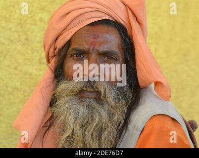 Leidend älterer indischer Hindu-Heiliger (Sadhu, baba, Guru) posiert während des Shivratri-Mela-Festivals mit einem schmerzhaften Gesicht für die Kamera. Stockfoto