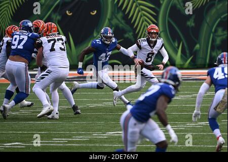 Cincinnati, OH, USA. November 2020. Brandon Allen #8 der Cincinnati Bengals kriegt während NFL Football Spiel Action zwischen den New York Giants und den Cincinnati Bengals im Paul Brown Stadium am 29. November 2020 in Cincinnati, OH. Adam Lacy/CSM/Alamy Live News Stockfoto