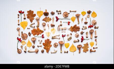 Schönes saisonales Herbstbanner.Muster von Pilzen Honig Agaric, gelbe Birke und braune Eichenblätter, Eicheln und rote Hagebutten auf weißem Hintergrund, t Stockfoto