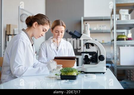 Seitenansicht Porträt von zwei weiblichen Wissenschaftlern, die Petrischale halten, während sie Pflanzenproben während der Laborforschung untersuchen, Raum kopieren Stockfoto