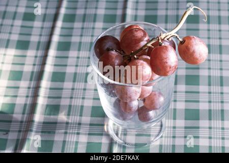 Rote Trauben, große Obstbündel, frisches und leckeres einfaches Essen in kalten Herbstfarben auf blauem Hintergrund in einer einfachen Komposition Stockfoto