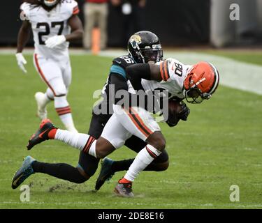 Jacksonville, Usa. November 2020. Browns Wide Receiver Jarvis Landry (80) wird nach einem Empfang in Angriff genommen, als die Cleveland Browns am Sonntag, 29. November 2020, auf dem TIAA Bank Field in Jacksonville, Florida, gegen die Jaguare antreten. Die Browns besiegten die Jaguare 27-25. Foto von Joe Marino/UPI Kredit: UPI/Alamy Live Nachrichten Stockfoto