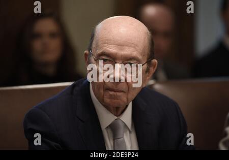 Kommerzsekretär Wilbur Ross nimmt an einer Kabinettssitzung im Kabinettsaal des Weißen Hauses in Washington, D.C., USA, 12. Februar 2019 Teil.Foto: Olivier Douliery/ABACAPRESS.COM Stockfoto