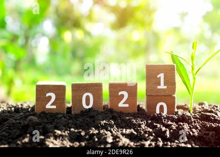 Wechseljahr 2020 bis 2021 in Holzklötze Würfel mit wachsenden Pflanzen. Neujahr, Hoffnung, Hallo und Auf Wiedersehen Konzept. Stockfoto