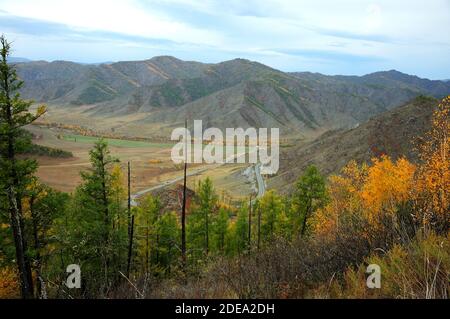 Ein Blick durch die Kiefern und Birken auf der Schleife der Asphaltstraße, die durch das Tal den Hügel hinauf führt. Chike Pass - Taman, Altai, Sibirien, Rus Stockfoto