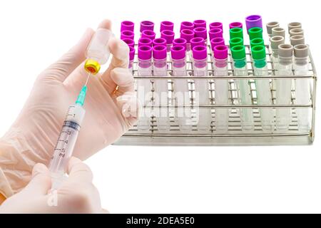 Hände der Ärzte füllen eine Impfstoffspritze und medizinische Blutschlauch, Reagenzglas für Labor leer auf Rack auf einer Weile Hintergrund Stockfoto