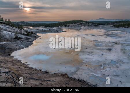 Das Porcelain Basin im Norris Geyser Basin im Yellowstone National Park, Wyoming, USA. Stockfoto