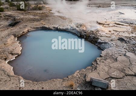 Heißes Wasser spritzt aus dem hinteren Schlot des Veteran Geyser im Back Basin des Norris Geyser Basin im Yellowstone National Park, Wyoming. Stockfoto