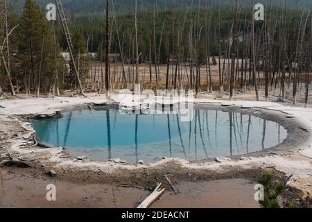 Zisterne Quelle im Back Basin des Norris Geyser Basin im Yellowstone National Park, Wyoming. Stockfoto