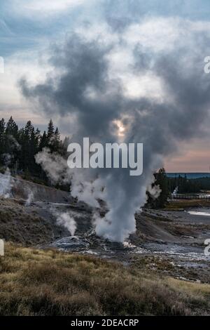 Ledge Geyser im Porcelain Basin des Norris Geyser Basin im Yellowstone National Park, Wyoming, USA. Stockfoto