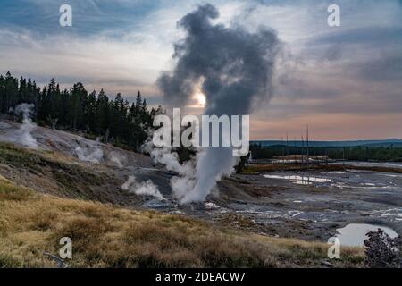 Ledge Geyser im Porcelain Basin des Norris Geyser Basin im Yellowstone National Park, Wyoming, USA. Stockfoto