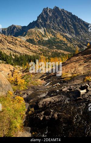 WA18583-00...WASHINGTON - kleiner Bach umgeben von Herbstfarben, subalpinen Lärchenbäumen und Blick auf Mount Stuart vom Ingalls Way im Alpine Lake Stockfoto