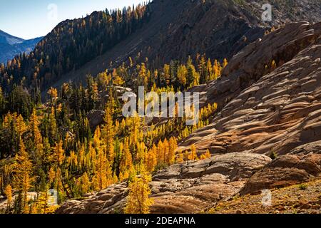 WA18594-00...WASHINGTON - Subalpine Lärche Bäume in Herbstfarben und Felsen Wände mit Gletscherstreifen vom Ingalls Way Trail aus gesehen Der Alpensee Stockfoto