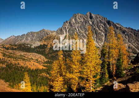 WA18606-00...WASHINGTON - Mount Stuart vom Ingalls Way Trail vorbei an alpinen Lärchenwäldern in der Alpine Lakes Wilderness Area. Stockfoto