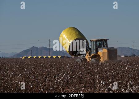 Tempe, Arizona, USA. November 2020. Baumwolle, die mit einer Rundballenpresse geerntet wird, wird auf dem frisch gepflückten Feld in der Nähe von Stansfield, Arizona 11/29/20, abgeholt und auf eine Straße neben dem Feld gebracht, bevor sie zu einem Cotton Gin gebracht wird. Die runden Ballen wiegen etwa 5000 Pfund und produzieren etwa 3.8 quadratische Ballen. Quelle: Tom Story/ZUMA Wire/Alamy Live News Stockfoto