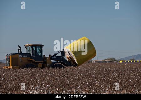 Tempe, Arizona, USA. November 2020. Baumwolle, die mit einer Rundballenpresse geerntet wird, wird auf dem frisch gepflückten Feld in der Nähe von Stansfield, Arizona 11/29/20, abgeholt und auf eine Straße neben dem Feld gebracht, bevor sie zu einem Cotton Gin gebracht wird. Die runden Ballen wiegen etwa 5000 Pfund und produzieren etwa 3.8 quadratische Ballen. Quelle: Tom Story/ZUMA Wire/Alamy Live News Stockfoto