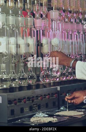 1970er Foto (1972) - EPA Gulf Breeze Laboratory: Chemielabor. Ein Physiktechniker extrahiert Pestizide aus Sedimentproben Stockfoto