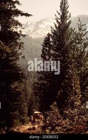 1970er-Fotos (1972) - Kalifornien--Sierra National Forest Stockfoto