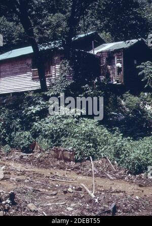 1970er Foto (1973) - das Wasser aus alten Bergbaugebieten gibt der Kanawha ihre rohe Farbe. Mile Zweig in der Nähe von Cedar Grove mündet in die Kanawha Stockfoto