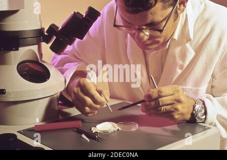 1970er Foto (1972) - EPA Gulf Breeze Laboratory: Ein Pathobiologe arbeitet an einem Elektronenmikroskop Stockfoto