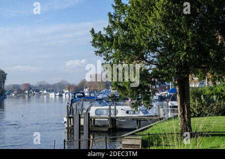 An einem sonnigen Herbsttag in Bourne End, Buckinghamshire, liessen sich die Boote am Ufer der Themse festmachen. Stockfoto