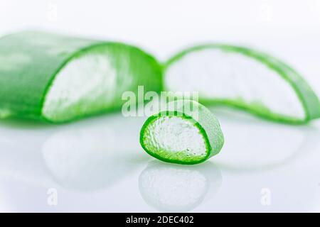 Aloe Vera isoliert auf weißem Hintergrund. Natürliche pflanzliche medizinische Pflanze, Hautpflege, Gesundheit und Beauty-Spa-Konzept Stockfoto