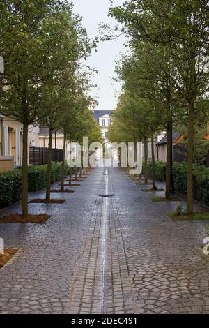 Die Gasse in nassnass an einem regnerischen Tag in Serris, Frankreich. Die Bäume bilden eine schöne Gasse zu einem Torbogen. Stockfoto