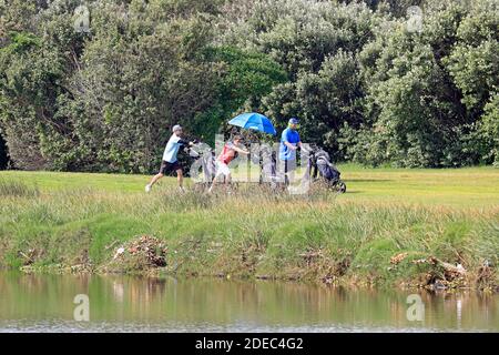 Golfer wandern auf dem Grün im Milnerton Golf Club, Kapstadt, Südafrika. Stockfoto