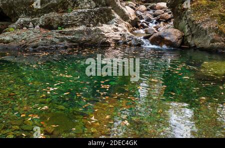 Bach, der zwischen großen Felsbrocken in einen kristallklaren smaragdgrünen Pool stürzt. Schwimmloch auf dem Mad River. Gefallene Blätter auf gewellten Gewässern. Warren, VT, USA Stockfoto