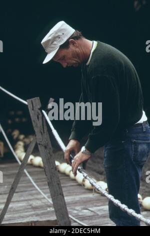 1970er Foto (1973) - Mann macht eine Schlagzeile für ein Portemonnaie seine wird er in Alaska verwenden Stockfoto