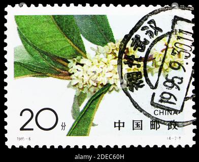 MOSKAU, RUSSLAND - 25. OKTOBER 2020: Die in China gedruckte Briefmarke zeigt Sweet Osmanthus, Serie, um 1995 Stockfoto