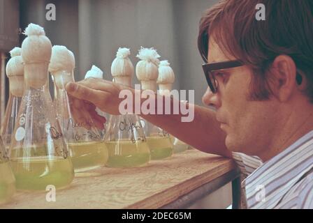 1970er Foto (1972) - EPA Gulf Breeze Laboratory: Ein Fischereibiologe untersucht Flaschen mit Meeresalgen und Pestiziden Stockfoto