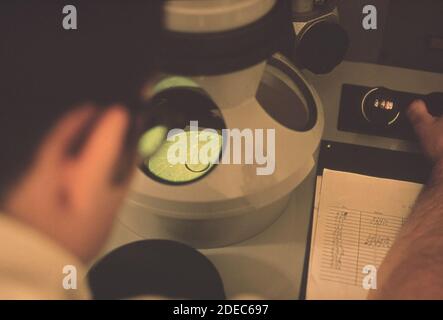 1970er Foto (1972) - EPA Gulf Breeze Laboratory: Ein Pathobiologe untersucht den Kern einer weißen Zelle; 8000-mal vergrößert; durch ein Elektronenmikroskop. Stockfoto